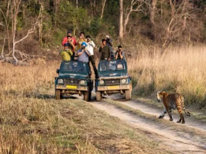 Top Places to Visit Near Jim Corbett