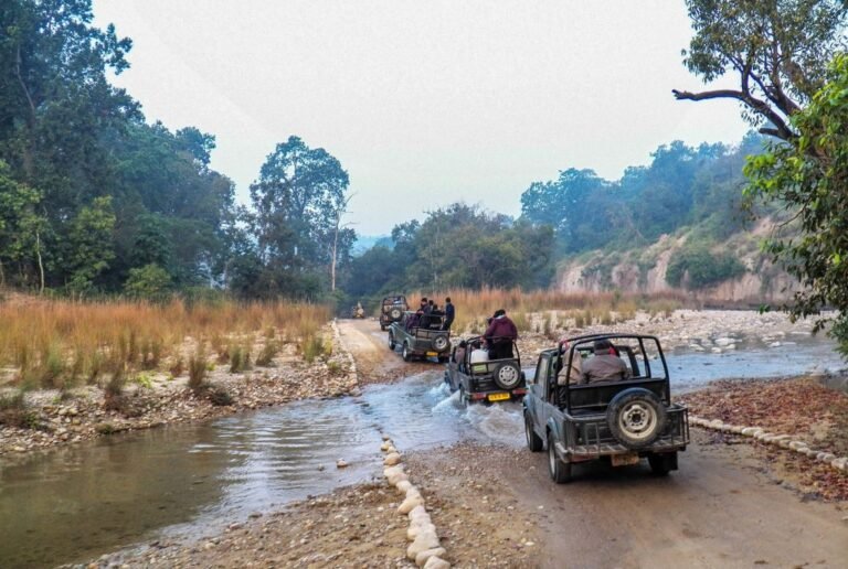 Why Jim Corbett is an Ideal Second-Home Destination